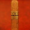 Cigar Box - CAO Cameroon LAnniversaire - Robusto