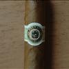 Cigar Single - Macanudo - Prince Philip 10s